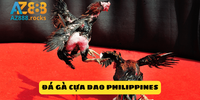 Giải mã sức hút của đá gà cựa dao Philippines