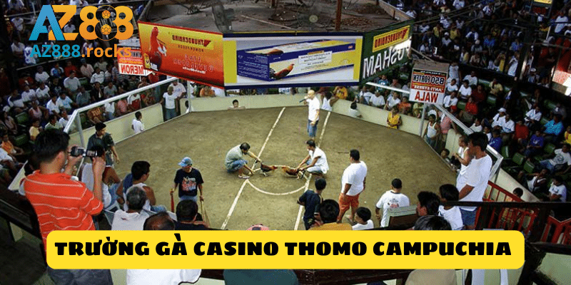 Trường gà Casino Thomo Campuchia